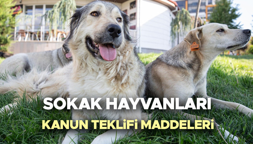 SOKAK HAYVANLARI YASASI SON DAKİKA GELİŞMESİ (15 TEMMUZ 2024) | Köpekler uyutulacak mı, ötenazi olacak mı Sokak hayvanları yasası çıktı mı, Meclisten geçti mi, maddeleri neler TBMMye sunuldu Gözler Resmi Gazetede SOKAK HAYVANLARI YASASI SON DAKİKA GELİŞMESİ (15 TEMMUZ 2024) | Köpekler uyutulacak mı, ötenazi olacak mı Sokak hayvanları yasası çıktı mı, Meclisten geçti mi, maddeleri neler TBMMye sunuldu Gözler Resmi Gazetede