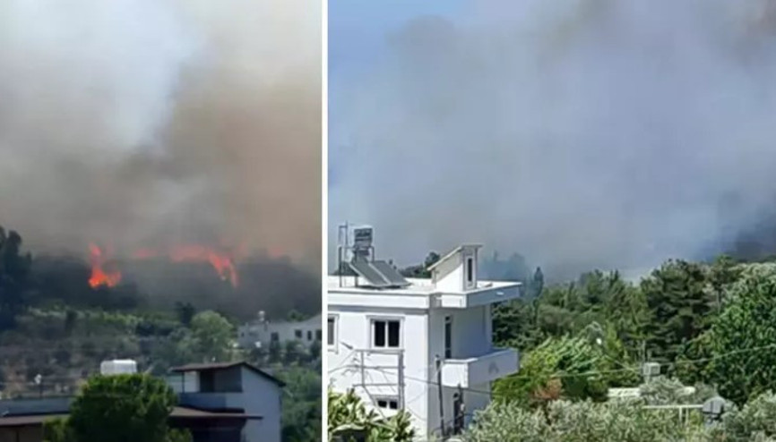Hatay’da orman yangını