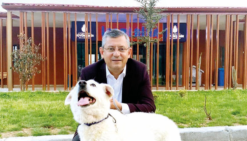 Sokak hayvanları teklifine Özgür Özel’den ‘Mira’lı tepki