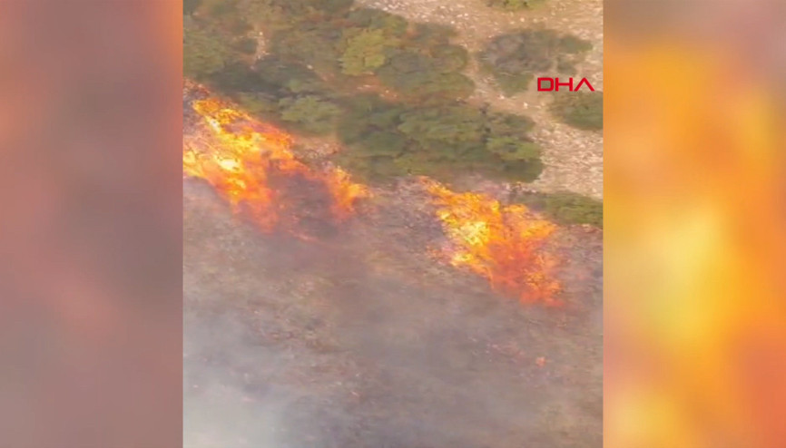 Manisa Somada orman yangını