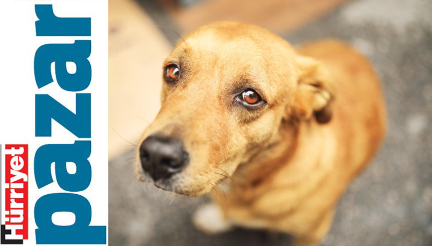 Haklarını arayamazlar