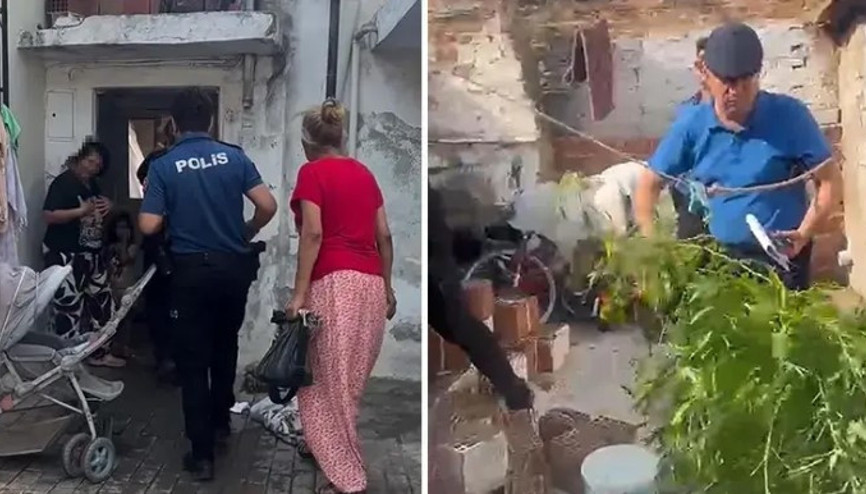 Evinin bahçesinde kenevir yetiştiren şüpheliden Su döktüm, büyüdüler savunması