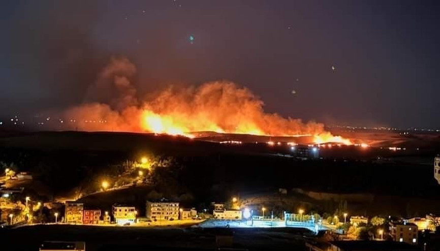 Diyarbakır’daki anız yangını söndürüldü