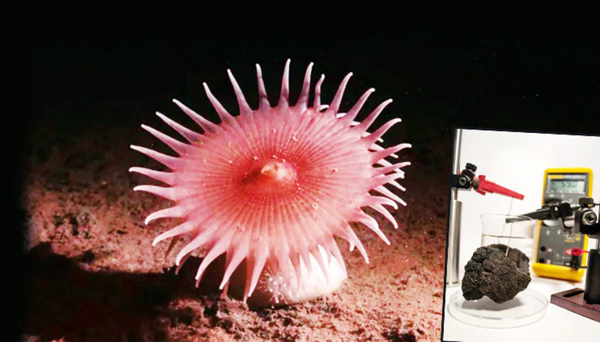 Okyanusun dibinde kara oksijen var: 4 bin metre derinlikte keşfedildi