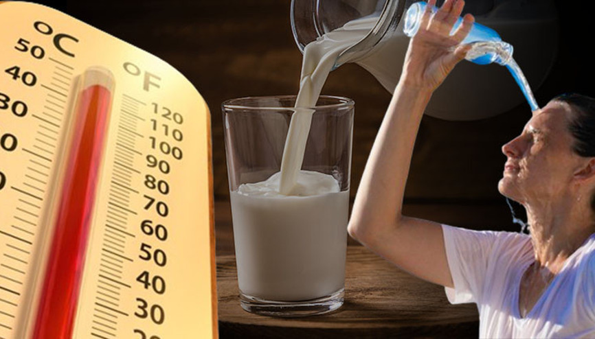 Bunu kimse bilmiyor... Aşırı sıcaklarda sudan daha etkili bir içecek var | ‘Sıvı kaybını önlüyor, susuz kalma süresini uzatıyor’