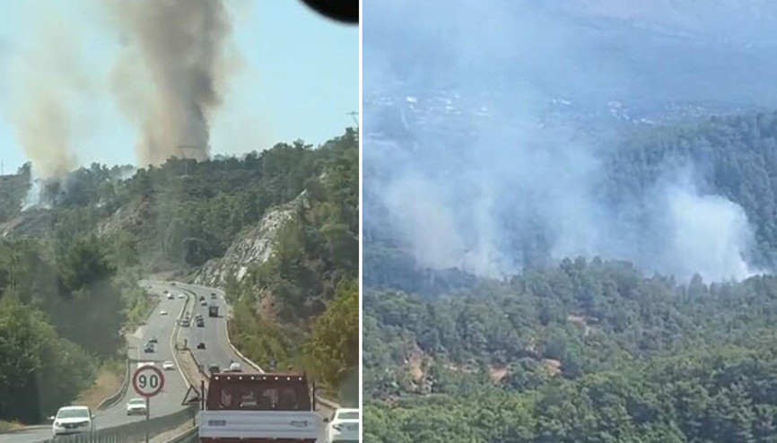 Muğlada orman yangını Kontrol altına alındı