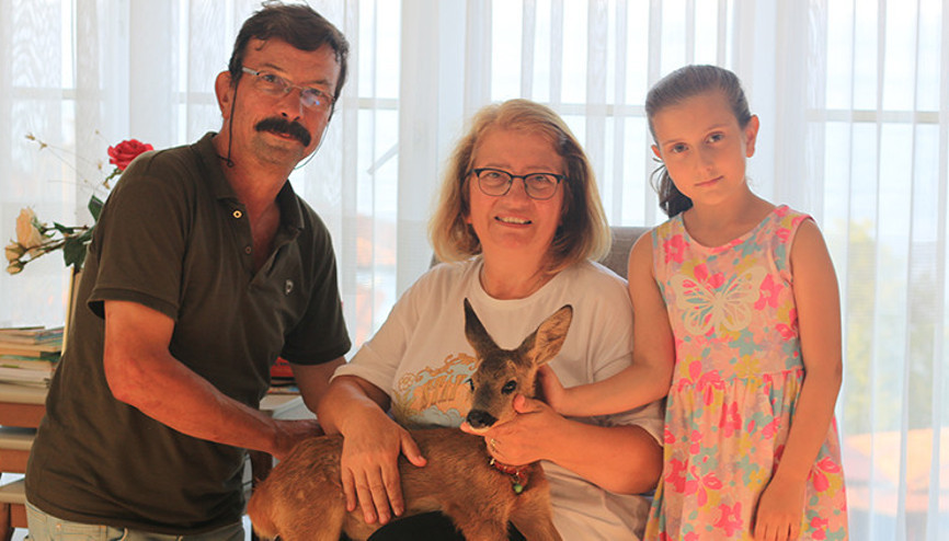 Tatile gittikleri yerde bitkin bulup sahiplendiler: Evde biberonla besliyorlar