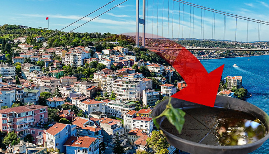 İstanbulda iki ilçede yaygınlaştı Birçok hastalığa neden oluyor... Uzmanlar uyardı: Balkon ve bahçenize su bırakmayın İstanbulda iki ilçede yaygınlaştı Birçok hastalığa neden oluyor... Uzmanlar uyardı: Balkon ve bahçenize su bırakmayın