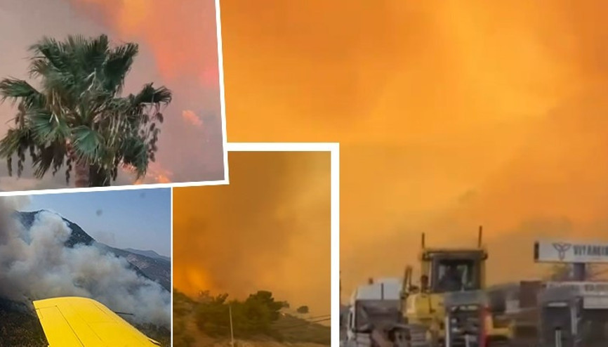 Aydın’ın Germencik ilçesinde makilik alanda çıkan yangın ormana sıçradı Aydın’ın Germencik ilçesinde makilik alanda çıkan yangın ormana sıçradı