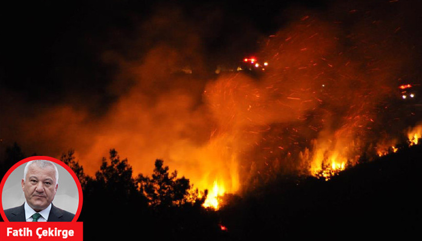 Bir şaka yüzünden 800 bin ağaç öldü