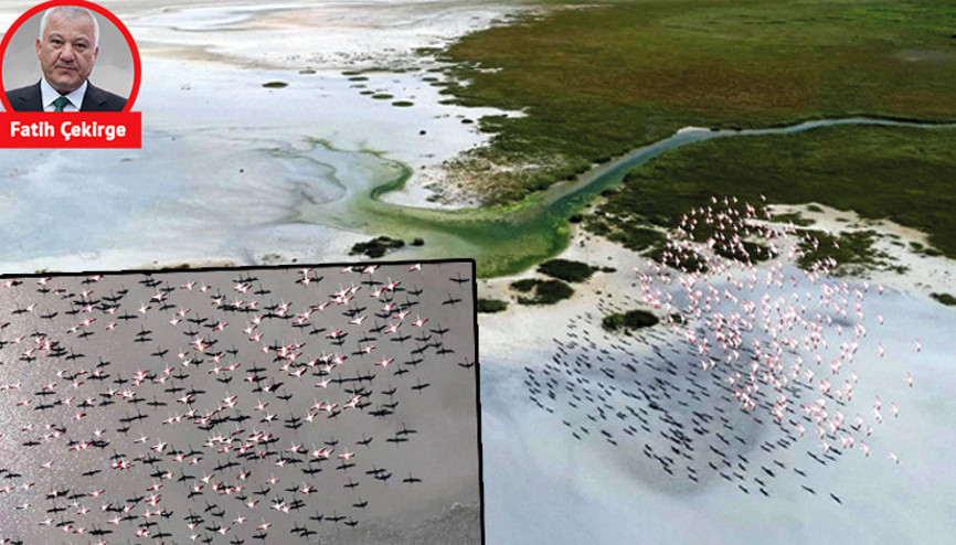 141 doğa harikası daha bizi terk etti