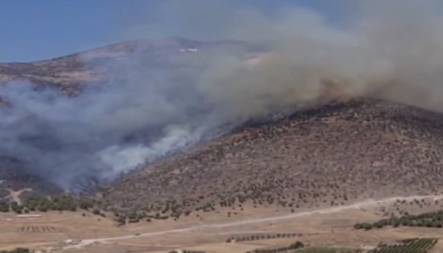 Manisa’nın Alaşehir ilçesinde orman yangını