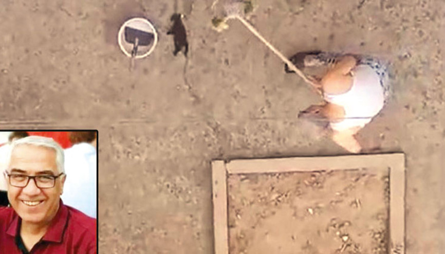 Bu da kedi canavarı