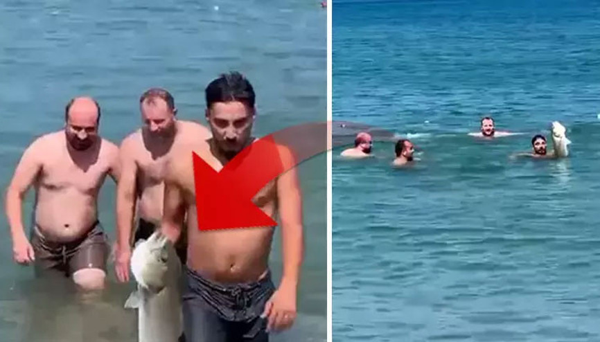 Yüzmek için girdiği denizde eliyle 6 kiloluk levrek yakaladı