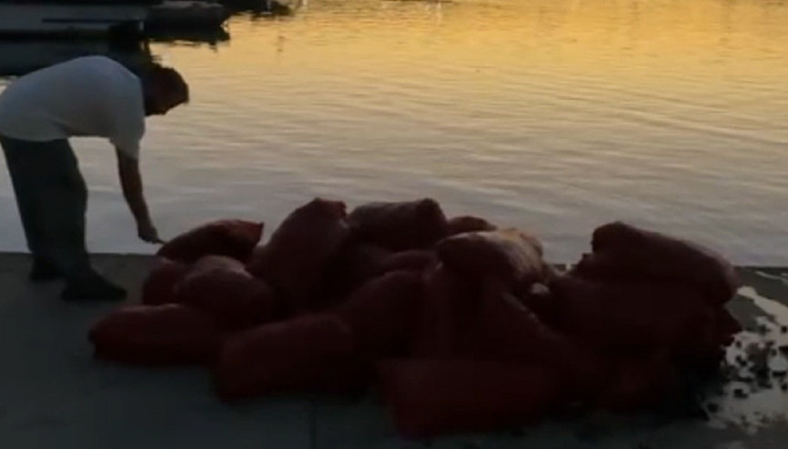 İstanbulda ele geçirildi: 50 çuval içinde, tam 1 ton