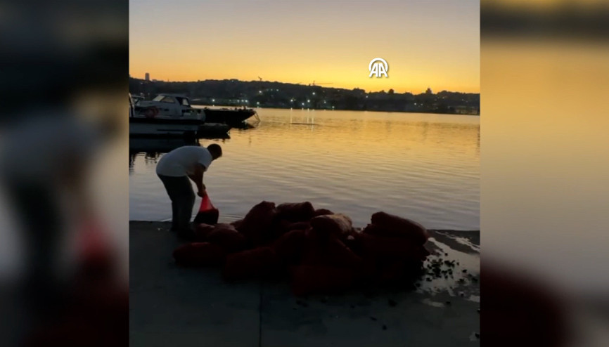 Üsküdarda 1 ton kaçak midye ele geçirildi