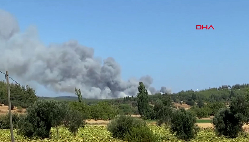 Çanakkale’nin Eceabat ilçesinde ormanlık alanda yangın