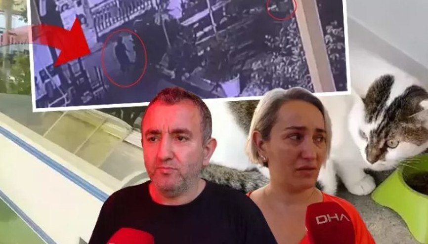 Çarşının maskotu Kontes, buzdolabında ölü bulundu