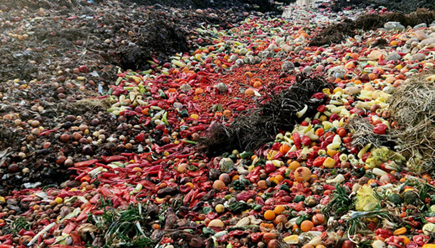 Güney Kore’de gıda atıklarının yüzde 98’i geri dönüştürülüyor… Bu yöntem dünya genelinde uygulanabilir mi Güney Kore bizlere neler öğretebilir Güney Kore’de gıda atıklarının yüzde 98’i geri dönüştürülüyor… Bu yöntem dünya genelinde uygulanabilir mi Güney Kore bizlere neler öğretebilir