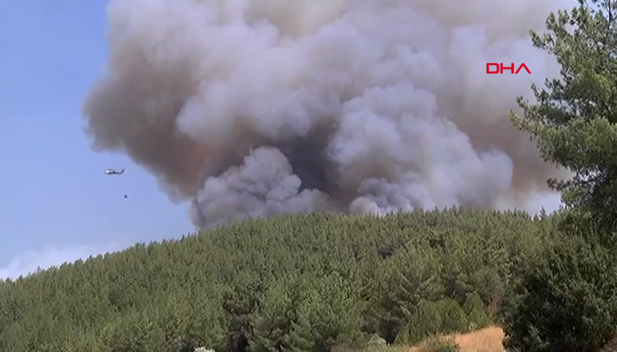 Muğla’da orman yangını