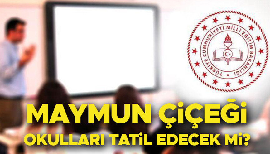 Maymun çiçeği okulları tatil edecek mi, kapanacak mı 2024 Son dakika gelişmeler: Maymun çiçeği nedeniyle okullar tatil iddiası gerçek mi Sosyal medyanın gündeminde...