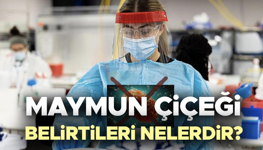 MAYMUN ÇİÇEĞİ BELİRTİLERİ NELERDİR | Maymun çiçeği hastalığı nedir, nasıl anlaşılır, ilk belirtileri nelerdir Maymun çiçeği (MPox)virüsü nasıl bulaşır, tedavisi var mı