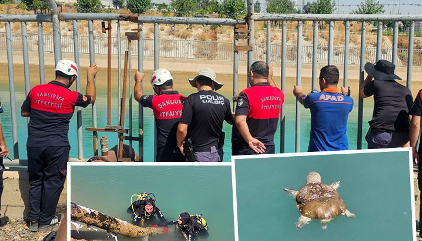 Ölü kaplumbağa yanlış anlaşılınca ekipler alarma geçti