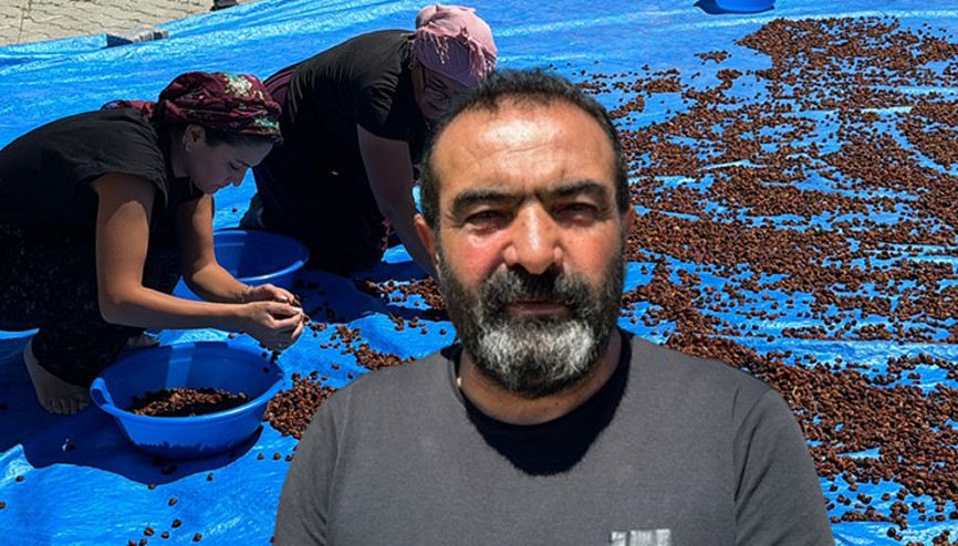 ARGE çalışması yapıp Yozgata kurdu, Japonyaya ihraç ediyor