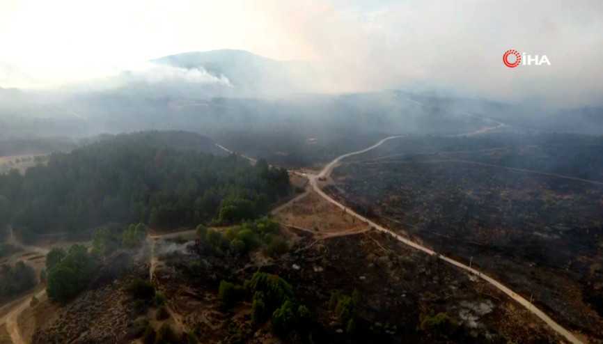 Geredede çıkan orman yangını böyle görüntülendi