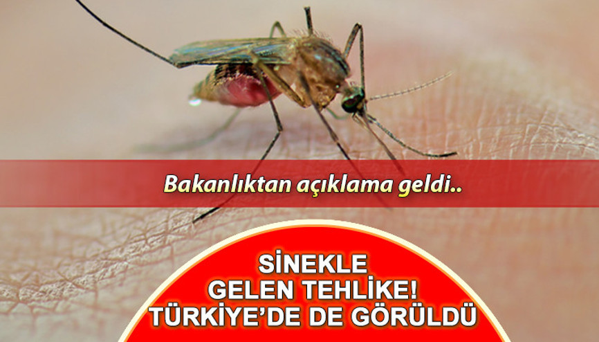 Batı Nil Virüsü nedir, nasıl bulaşır, belirtileri nelerdir Sağlık Bakanlığından açıklama geldi: Türkiyede görüldü