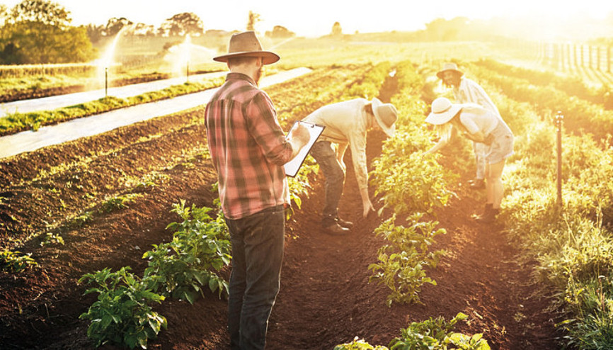 Ya işle ya da kiraya ver... Devlet iki yıl işlenmeyen tarım arazisini kiraya verecek Ya işle ya da kiraya ver... Devlet iki yıl işlenmeyen tarım arazisini kiraya verecek