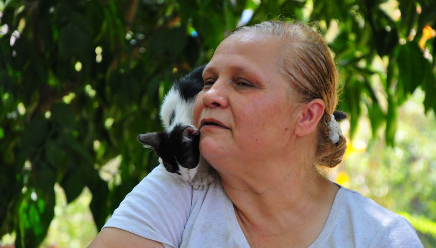 Kedilerin annesi Alev Öğretmen, 2 arkadaşıyla 80den fazla kediye bakıyor Kedilerin annesi Alev Öğretmen, 2 arkadaşıyla 80den fazla kediye bakıyor