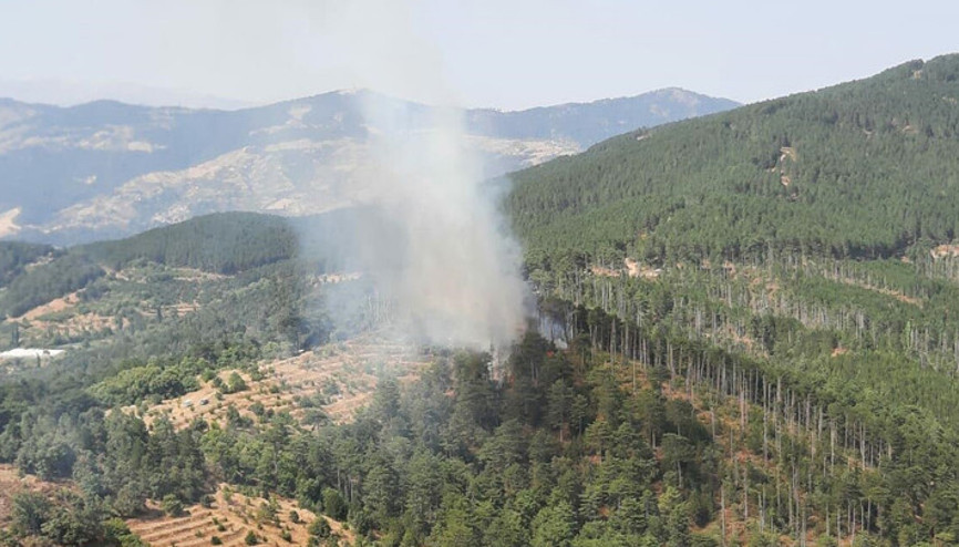 Aydında orman yangını: Havadan ve karadan müdahale ediliyor
