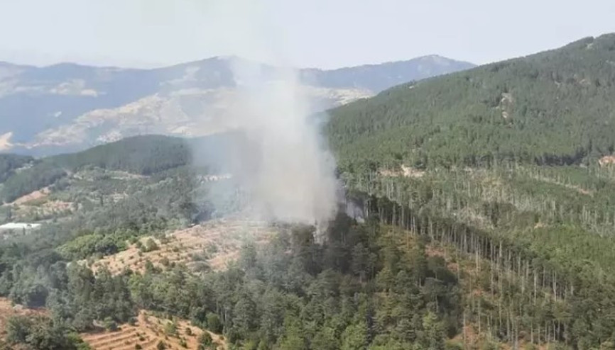 Aydın’ın Kuyucak ilçesinde orman yangını