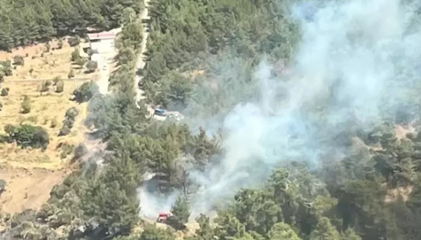 İzmirde orman yangını