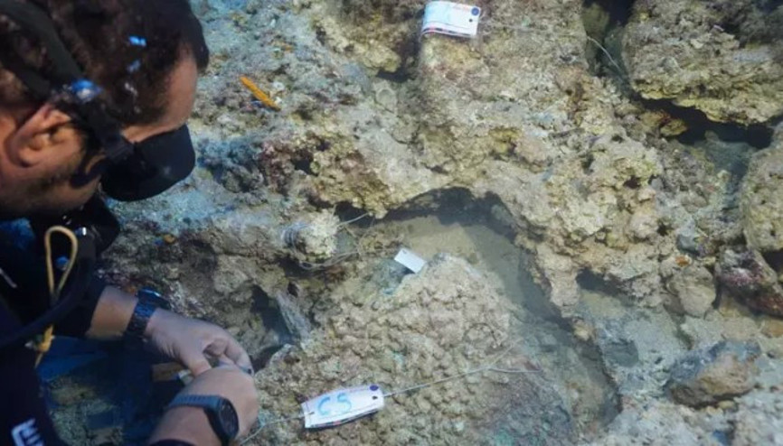 Antalya açıklarında su altı kazısında 3 bin 600 yıllık hançer bulundu Antalya açıklarında su altı kazısında 3 bin 600 yıllık hançer bulundu