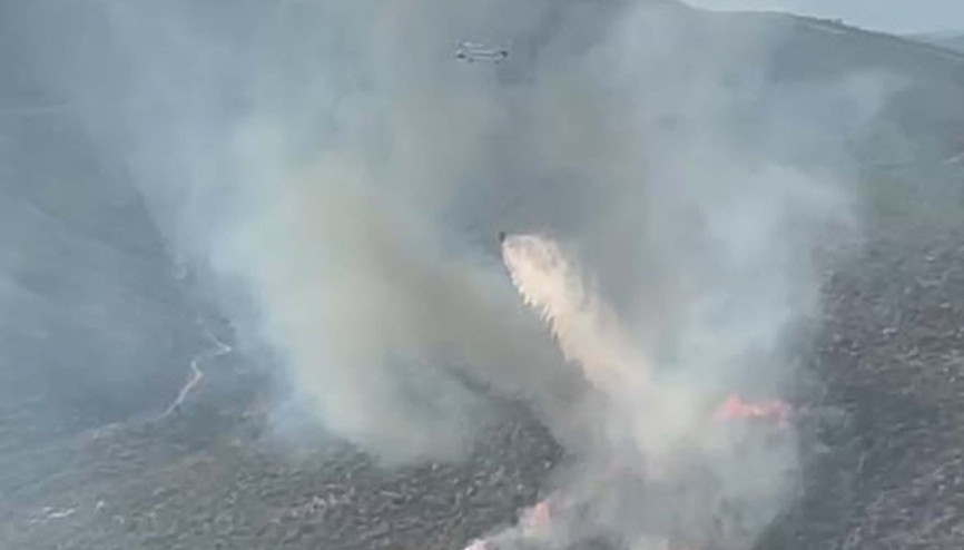 İzmirde orman yangını