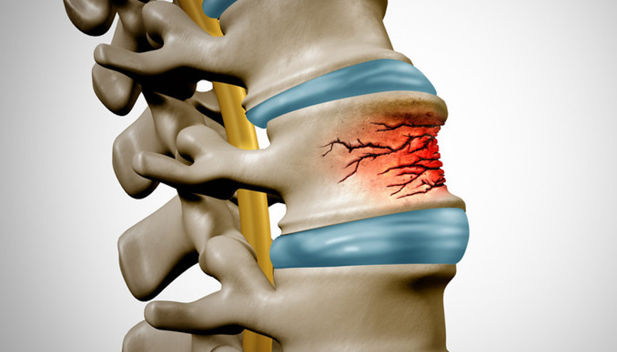 Bilim insanları kemik kütlesini iki katına çıkarabilen yeni bir hormon keşfetti