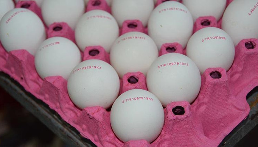 Gıda ve Kontrol Genel Müdürlüğünden yumurtalar üzerindeki numaralara ilişkin açıklama Gıda ve Kontrol Genel Müdürlüğünden yumurtalar üzerindeki numaralara ilişkin açıklama