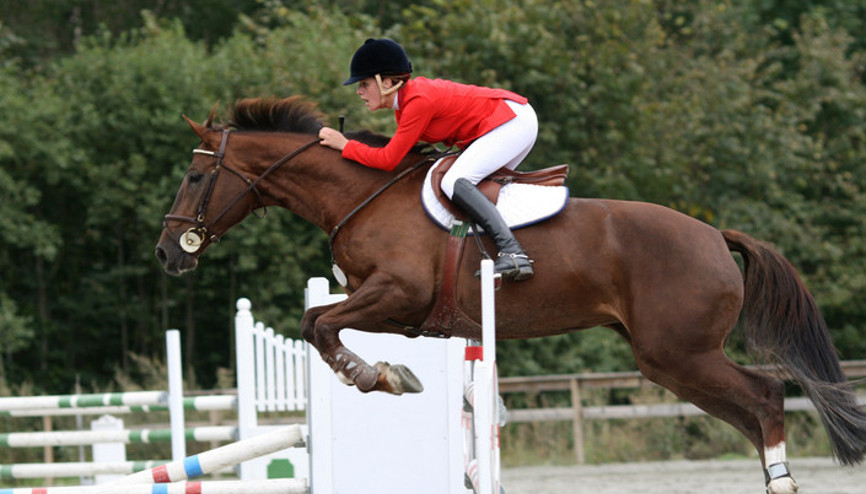 Binicilik paralimpik oyunları Google Doodle oldu Paris 2024 Paralimpik oyunları Türkiyeden katılan sporcu var mı