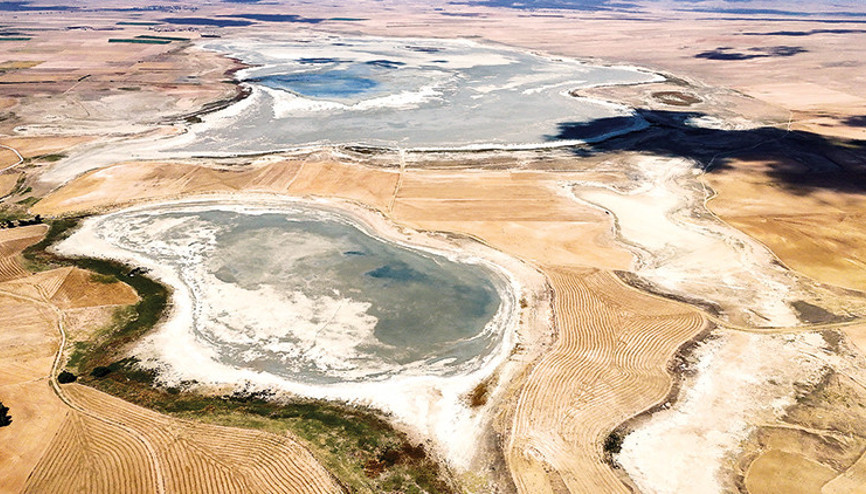 Kuş Cenneti çöle döndü