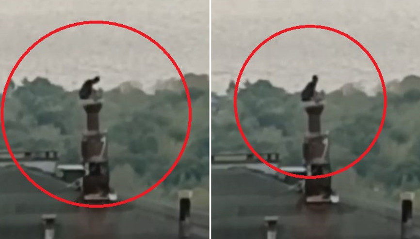 3 gün önce cezaevinden kaçtı Saklandığı evin bacasından çatıya çıkarken yakalandı