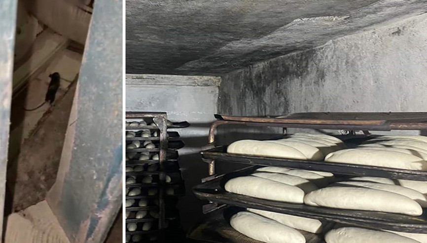 Kırşehirde fırında mide bulandıran görüntü