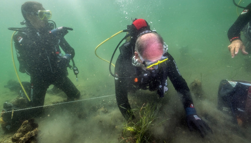 Marmara Denizi’nde müsilaja deniz çayırı önlemi Marmara Denizi’nde müsilaja deniz çayırı önlemi