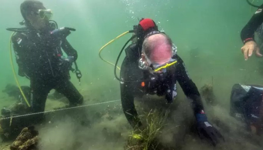Marmara Denizi’nde müsilaja karşı deniz çayırı ekimi başladı Marmara Denizi’nde müsilaja karşı deniz çayırı ekimi başladı