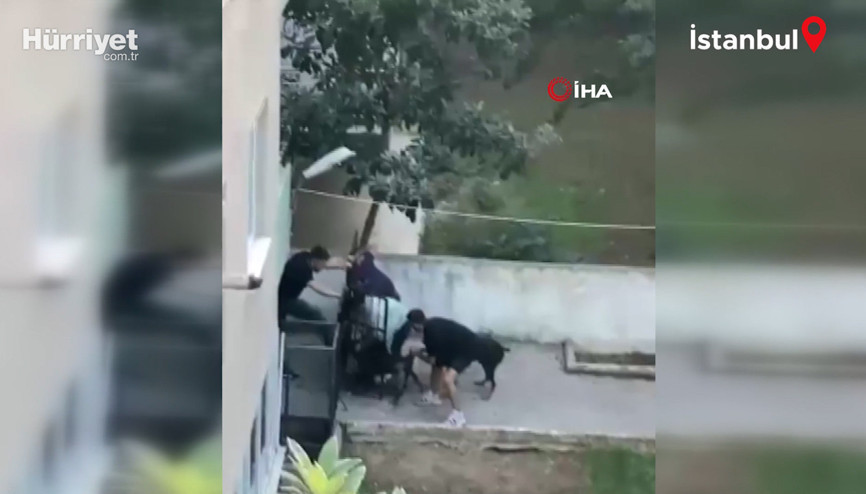 Maltepede pitbull dehşeti kamerada