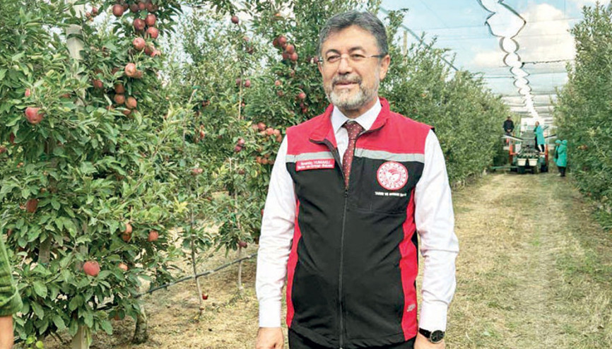 Elmada 4.5 milyon ton rekolte bekleniyor