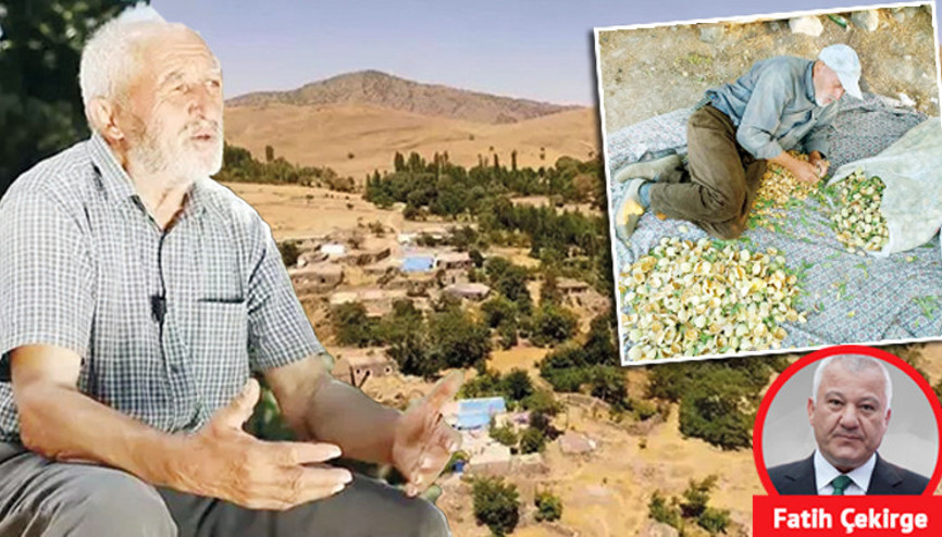 ‘Orman Dede’nin imdat çığlığı... Tarım ve Orman Bakanı lütfen duyun bu sesi