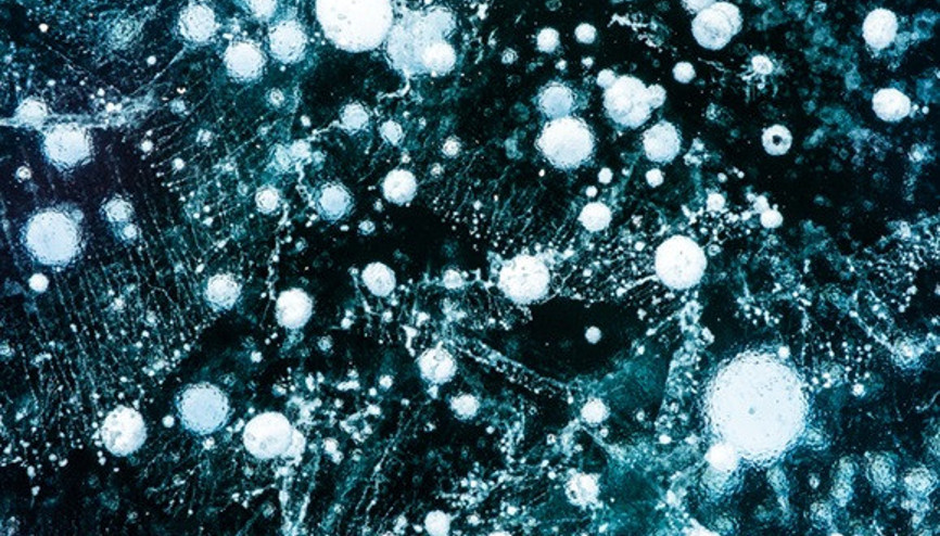 Kuzey Buz Denizi’nde yeni antibiyotikler keşfedildi… Tıp dünyasında devrim yaratacak yeni ilaçların geliştirilmesinde etkili olacak…