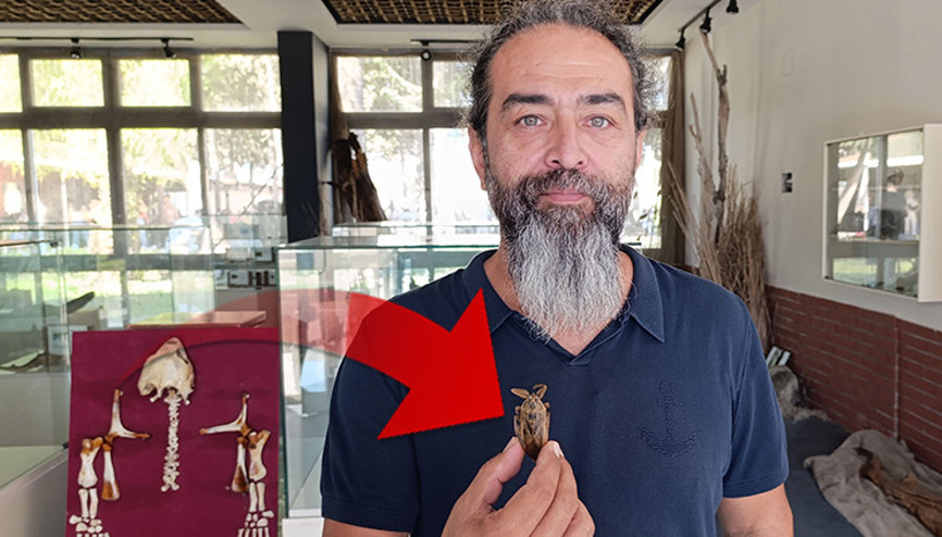 Türkiyede sahillerde ilk kez görüldü: İsmi parmak kopartan | Uzmanlar ilginç bir durum olarak değerlendirdi